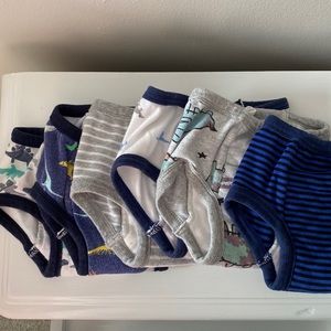 Training Underwear - like new!